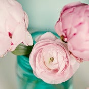 Image of Bloom III