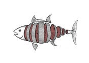 Image of Sliced Tuna