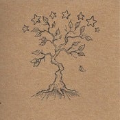 Image of The Desolation Singers "The Blood Between Us" CDr Hand/Eye h/e052
