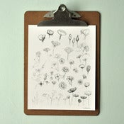 Image of This Year's Flowers (Print)