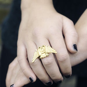 Image of Egyptian Birds Ring