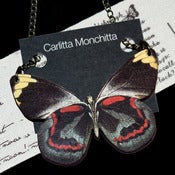 Image of Scarlet flight
