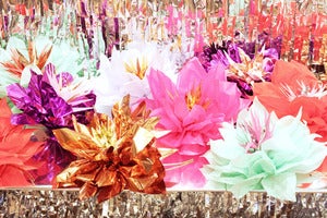 Image of Star Flower
