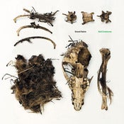 Image of Grand Salvo: Soil Creatures