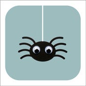 Image of Sydney Spider