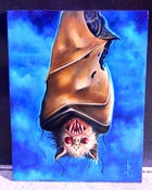 Image of Spider Bat