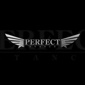 Image of PERFECT STANCE (Silver Metallic) Vinyl Window Decal