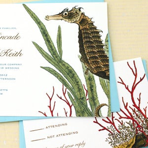 Image of Seahorse Beach Wedding Invitations