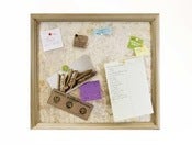Image of Mushroom Message Board