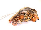 Image of Collar Ecoológico