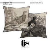 Image of pigeon #3