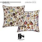 Image of shells #4