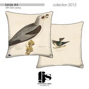 Image of birds #4