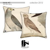 Image of birds #3