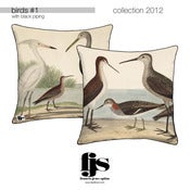 Image of birds #1