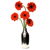 Image of Retro British Milk Bottle Vase