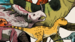 Image of PRINT :: Behold! The Dinosaurs!