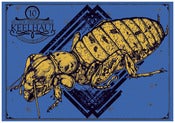 Image of Keelhaul gigposter