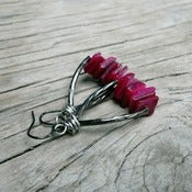 Image of Fuschia-istic