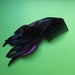 Image of Dark Shine Feather Hair Comb (various colours)