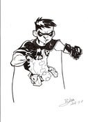 Image of Robin