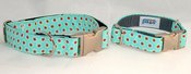 Image of Daisy Daisy Dog Collar on UncommonPaws.com