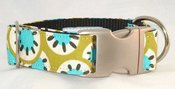 Image of Sunburst Dog Collar on UncommonPaws.com