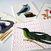 Image of Feathered Creatures Greeting Cards