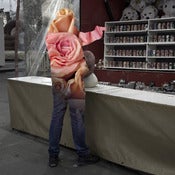 Image of Untitled 28