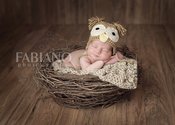 Image of Organic Realistic Birds Nest Photo Prop-Material option B