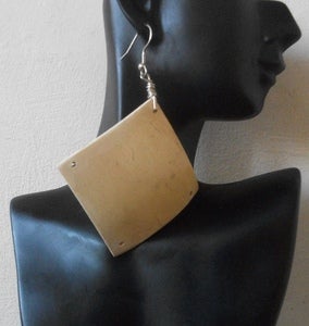 Image of Naturalite Ear-Rings (1)