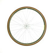 Image of Campagnolo Omega Strada V Profile