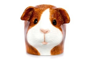 Image of DUTCH GUINEA PIG EGG CUP