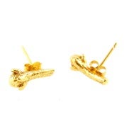Image of Clove Studs