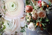 Image of Coral, Sand and Citrus; A color study with ranunculus and winter citrus - January 28th 
