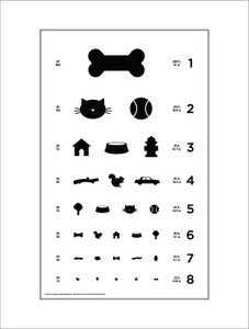 Image of 18" x 24" Dog Eye Chart - Standard Size Poster