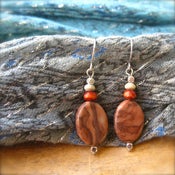 Image of Earthy Brown Earrings