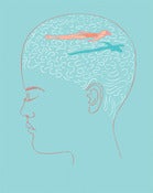 Image of Meditation