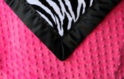 Image of White & Black Zebra