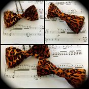 Image of Leopard Print Bows