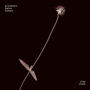 Image of Prinzhorn Dance School - Clay Class LP + Download