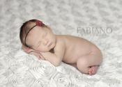 Image of Luxury Cream Rose Fabric