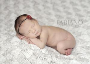 Image of Luxury Cream Rose Fabric