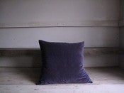 Image of PURPLE HAZE