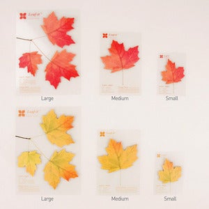 Image of Appree Maple Leaf Post-it