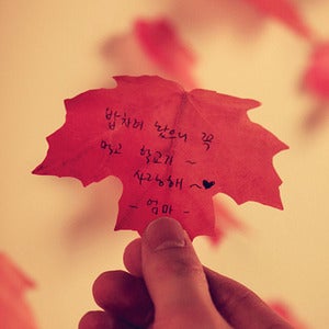 Image of Appree Maple Leaf Post-it