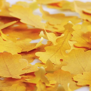 Image of Appree Oak Leaf Post-it