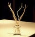 Image of Aromatherapy Reed Diffuser Essential Oil Kit