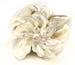 Image of Magnolia Pearl Bracelet