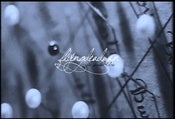 Image of Free download our new EP